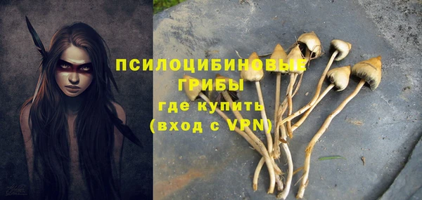 дурь Алексеевка