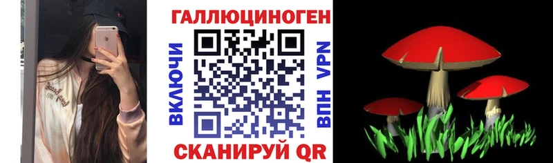 kraken зеркало  Пермь  Псилоцибиновые грибы Psilocybe 