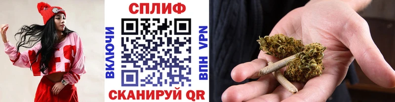 Бошки Шишки ГИДРОПОН  блэк спрут ONION  Пермь 